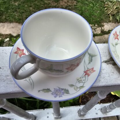 Royal Doulton - Expressions - Summer Carnival Cup and Saucers X2